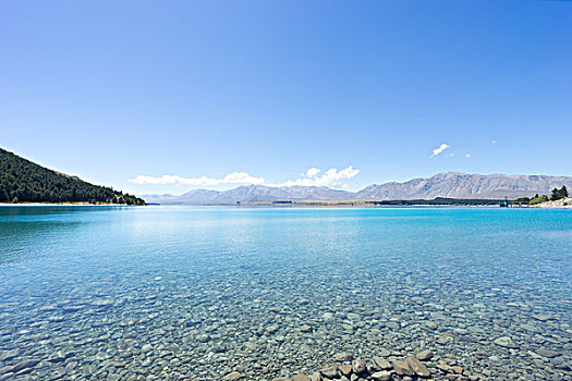 风景,湖,夏天,新西兰