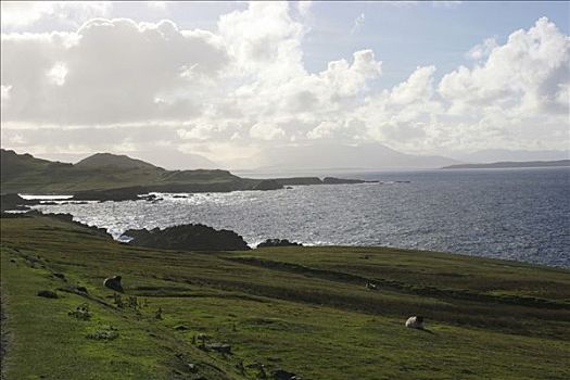岩石海岸,阿基尔岛,梅奥,爱尔兰,欧洲