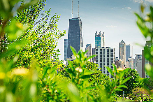 风景,芝加哥,公园