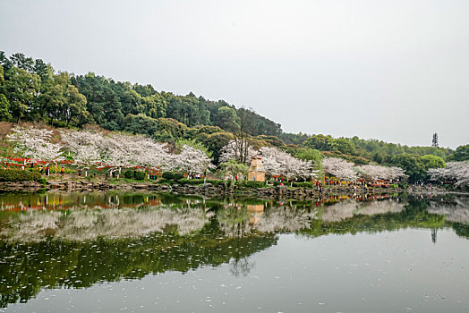 湖南省森林植物园风光美景