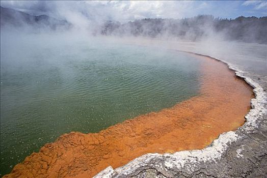 香槟,水池,火山,湖,水,矿物质,黄金,银,水银,硫,怀奥塔普,罗托鲁瓦,新西兰