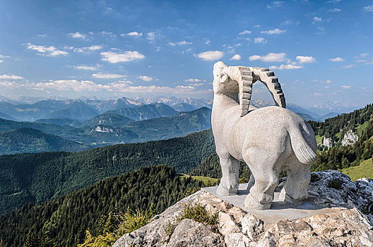 雕塑,野山羊,正面,山脉,山丘,巴伐利亚,德国,欧洲