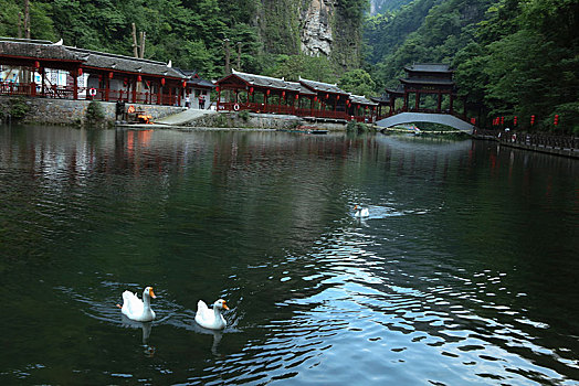 宜昌,三峡大瀑布,风景,景点,旅游,高山,瀑布,河流,神秘,树木,植被,石头,鄂西,奇石,峡谷,壮观