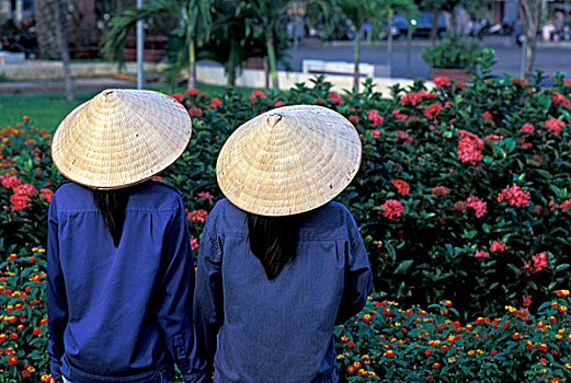越南,西贡,胡志明市,女人,帽子,彩色,花