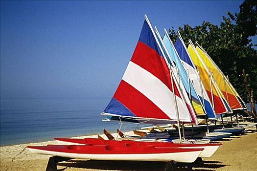 鲜艳,帆,享乐,胜地,牙买加