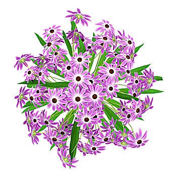 俯视,紫花,花瓶,隔绝,白色背景,背景,插画