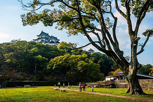 日本大阪和歌山城