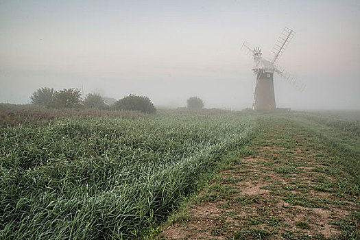 老,风车,雾状,英国,乡村,风景