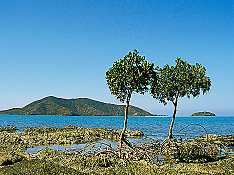 新加勒多尼亚,半岛,岛屿