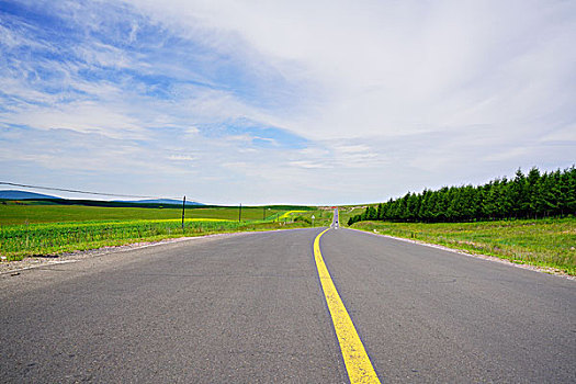 道路,公路,交通,草原,高原,内蒙古