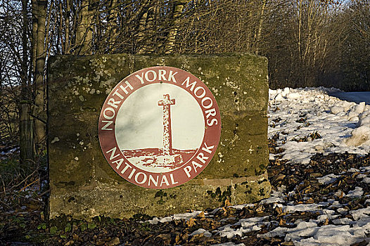 英格兰,北约克郡,落叶,雪,地上,旁侧,国家公园,标识