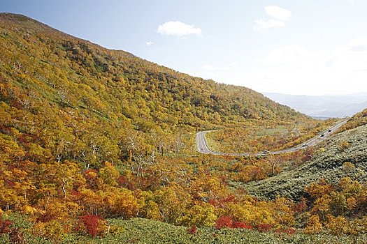 全景,线条