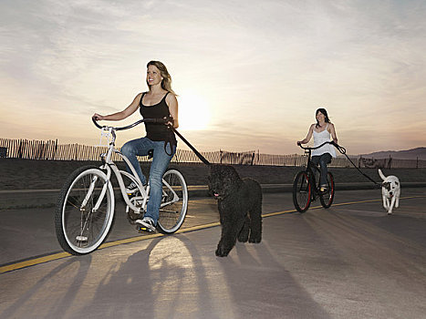 女人,骑自行车,狗,拴狗绳