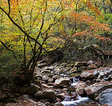 光雾山大小兰沟风光