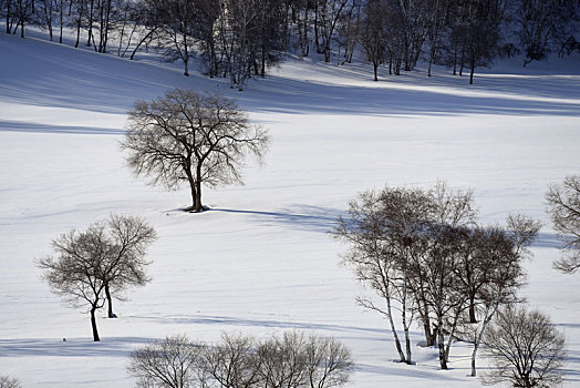 雪景