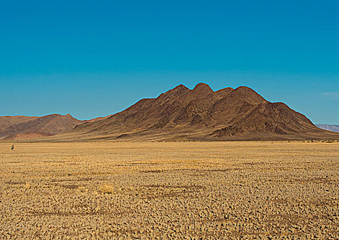 山脊,荒野,自然保护区,边缘,纳米布沙漠,区域,纳米比亚,非洲