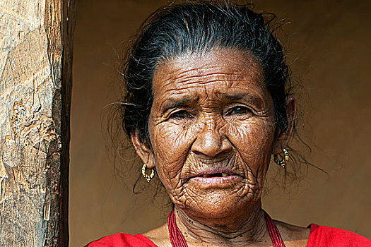 尼泊尔人,女人,头像,尼泊尔,亚洲