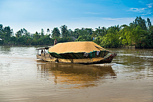 传统,货船,装载,稻米,湄公河,芹苴,湄公河三角洲,越南,亚洲