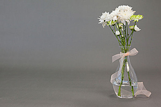 花瓶,系,丝带,灰色背景