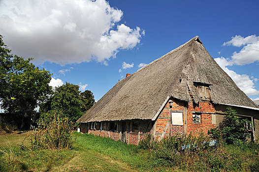 老,农舍,低,茅草屋顶,梅克伦堡前波莫瑞州,德国,欧洲