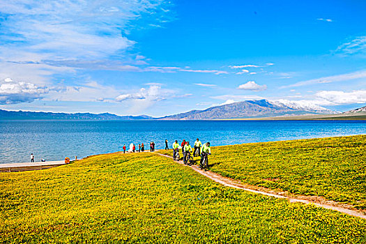 新疆,草原,湖泊,野花,自行车