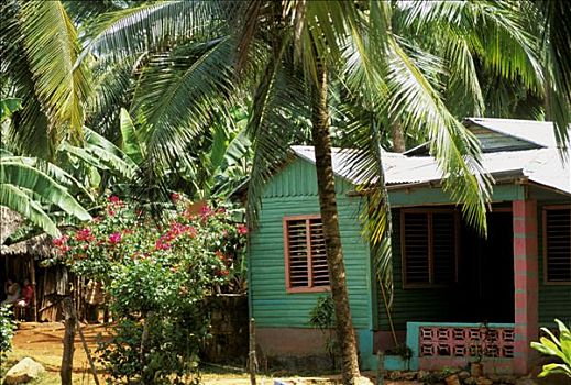 多米尼加共和国,半岛,萨玛纳,房子