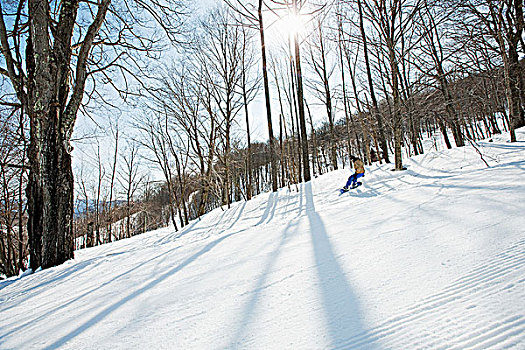 女青年,滑雪板