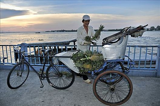 男人,堆积,许多,菠萝,座椅,自行车,人力车,湄公河三角洲,越南,亚洲