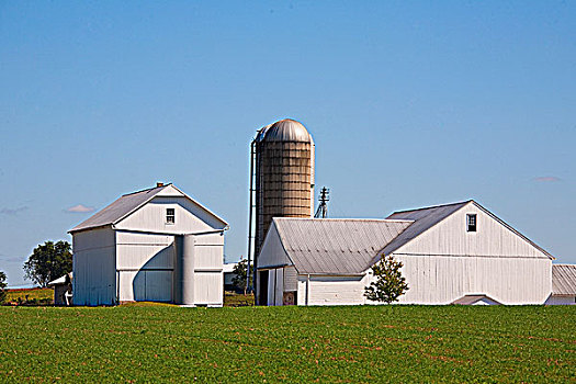 谷仓,农场,兰卡斯特,宾夕法尼亚,美国
