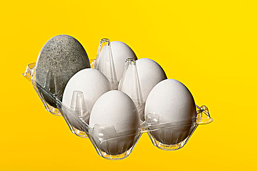 蛋,发酵,世纪,保存