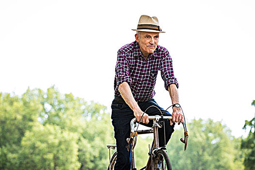 老人,骑自行车,公园