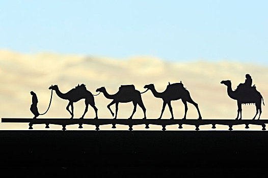 骆驼,装饰,窗户,靠近,阿布扎比,阿联酋,中东,亚洲