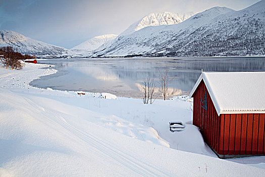 木质,小屋,特罗姆瑟,挪威,欧洲