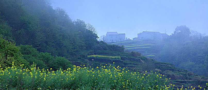 梯田,山村,春意