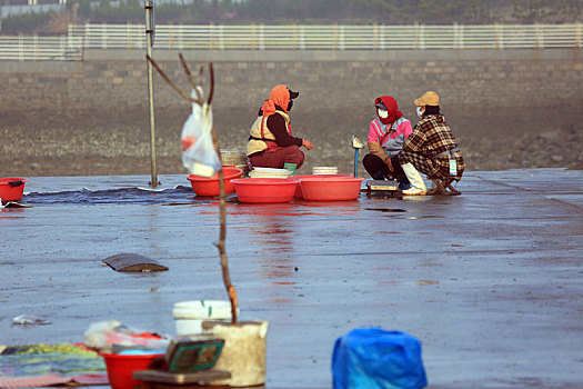 山东省日照市,清晨六点的渔码头开始醒来,人们在晨雾中忙碌