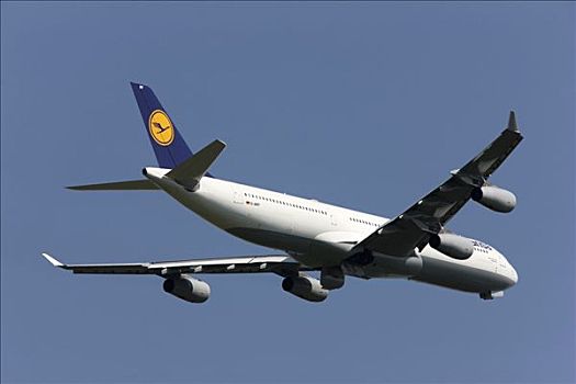 汉莎航空公司,空中客车,a340,一个,三个,飞机,五月,2008年,加拿大,美国,国际机场,北莱茵威斯特伐利亚,德国,欧洲