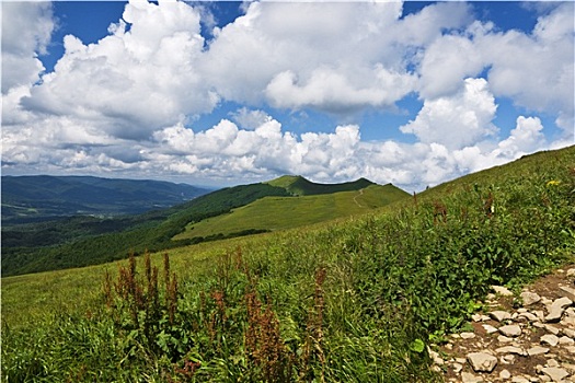 喀尔巴阡山脉,波兰,绿色,山