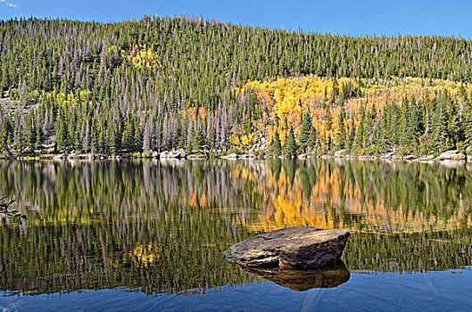 秋景,反射,落基山国家公园,科罗拉多,美国