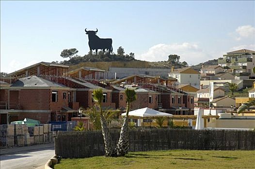 公牛,上方,新建筑,住宅区,贝尼多姆,白色海岸,西班牙