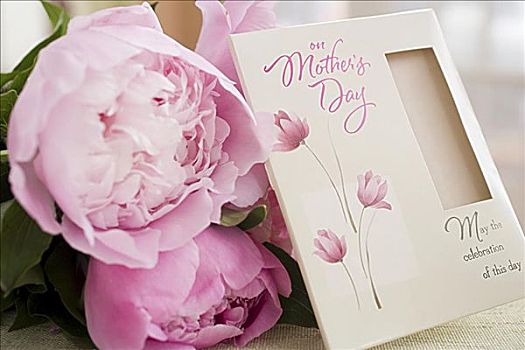 花,母亲节,卡片