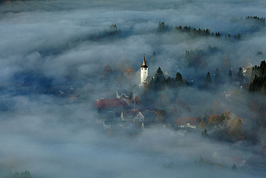 耶稣,国王,教堂,晨雾,黑森林,德国,欧洲