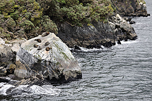 米弗峡湾