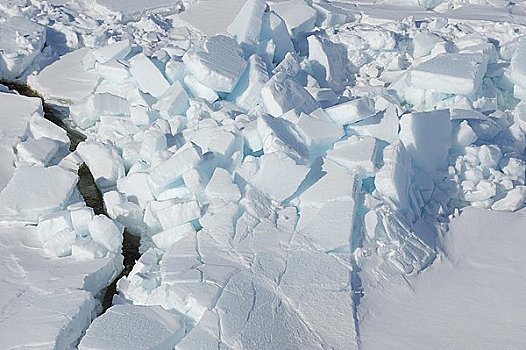 浮冰,威德尔海,南极半岛,南极