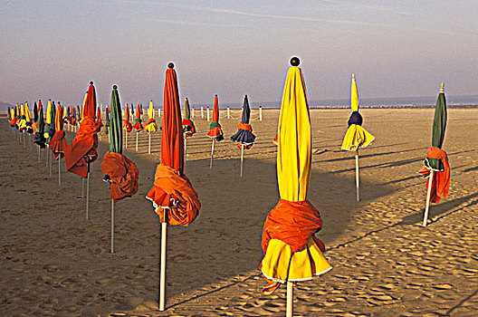 法国,诺曼底,多维耶,海滩,早晨,伞