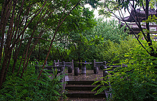 雨中林荫小路