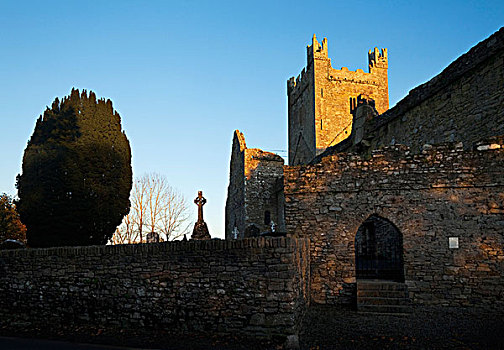 12世纪,西多会,教堂,遗址,靠近,基尔肯尼郡,爱尔兰