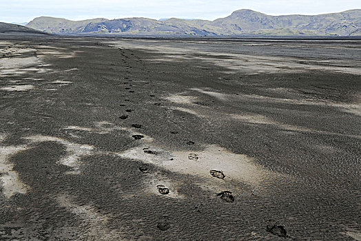 冰岛,脚印,火山,荒芜,两个,远足,离开,痕迹
