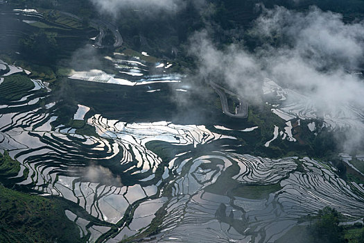 重庆市酉阳花田灌水梯田云雾缭绕风景如画