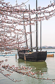 樱花木船