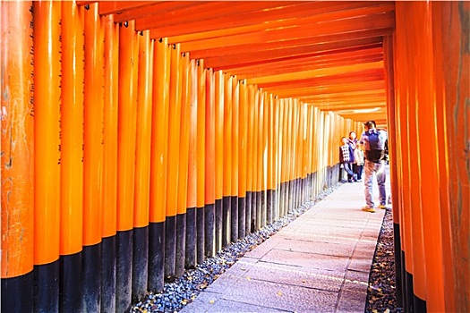 伏见稻荷大社,神祠,京都,日本